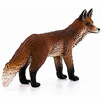 Fox