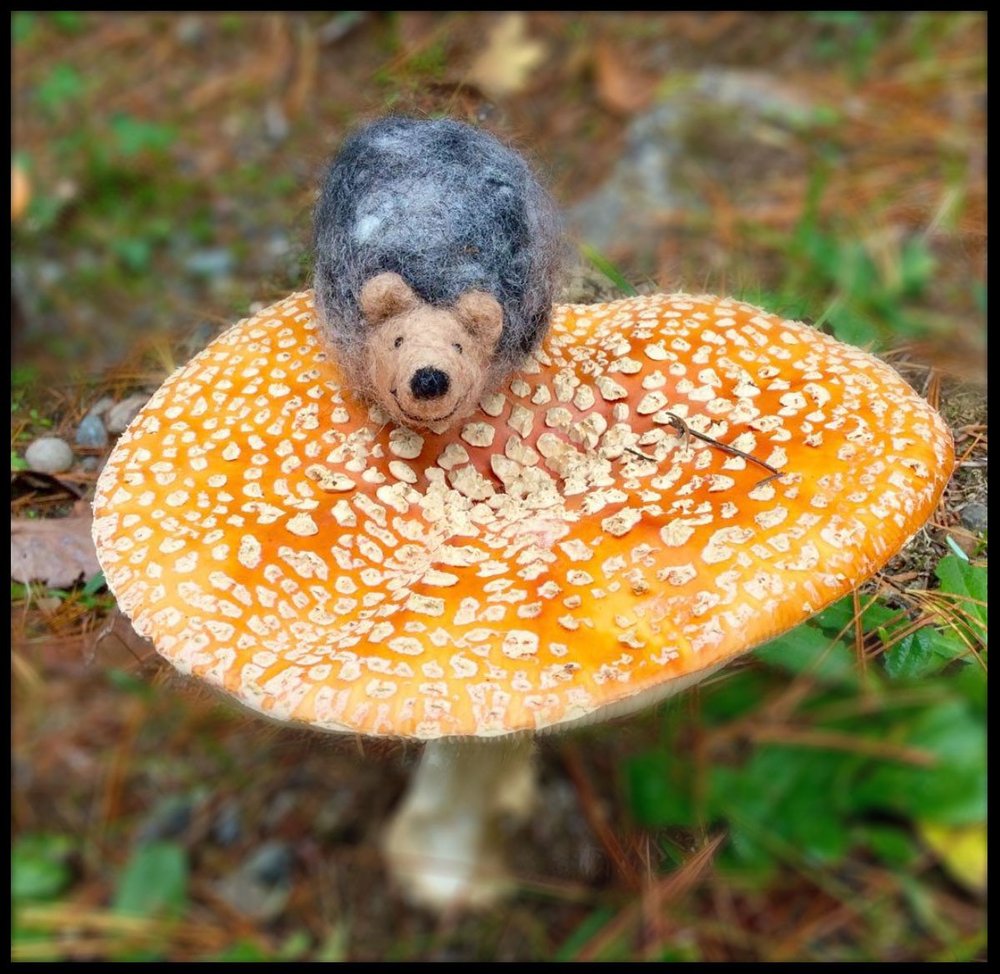 Hedgehog Needle Felting Kit