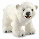 Bear, Polar Cub