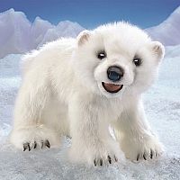 Bear, Polar Cub